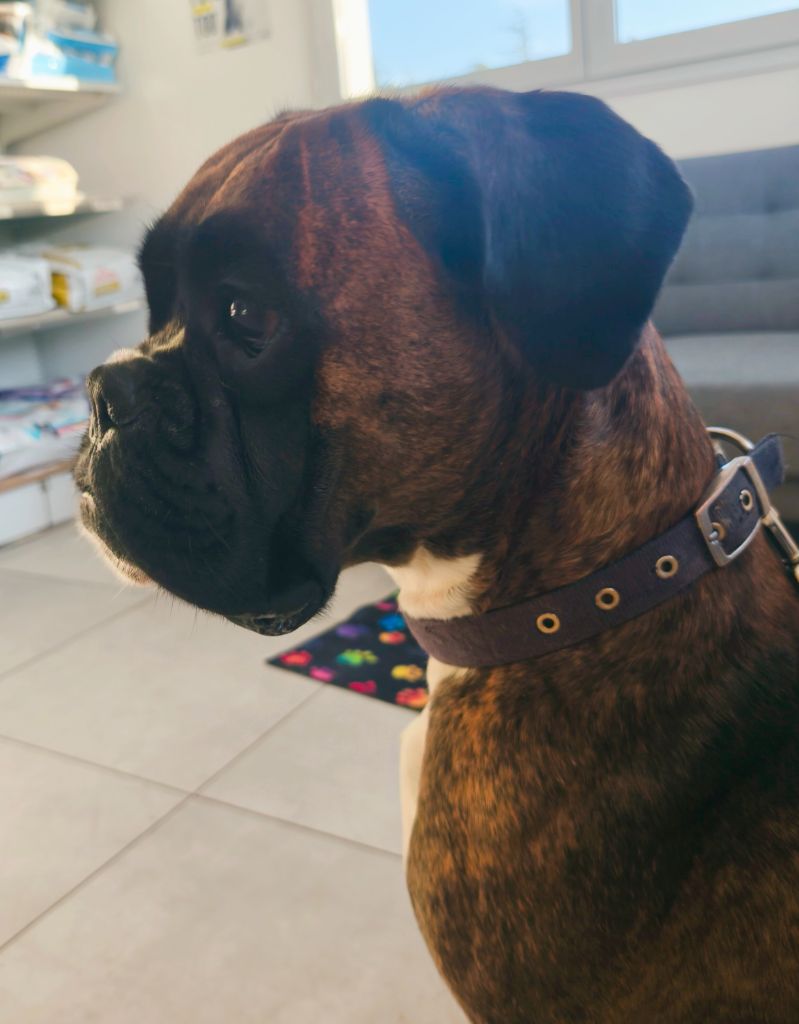 Tessy Du Reflet De Lune