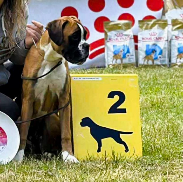 Vogue Du Reflet De Lune